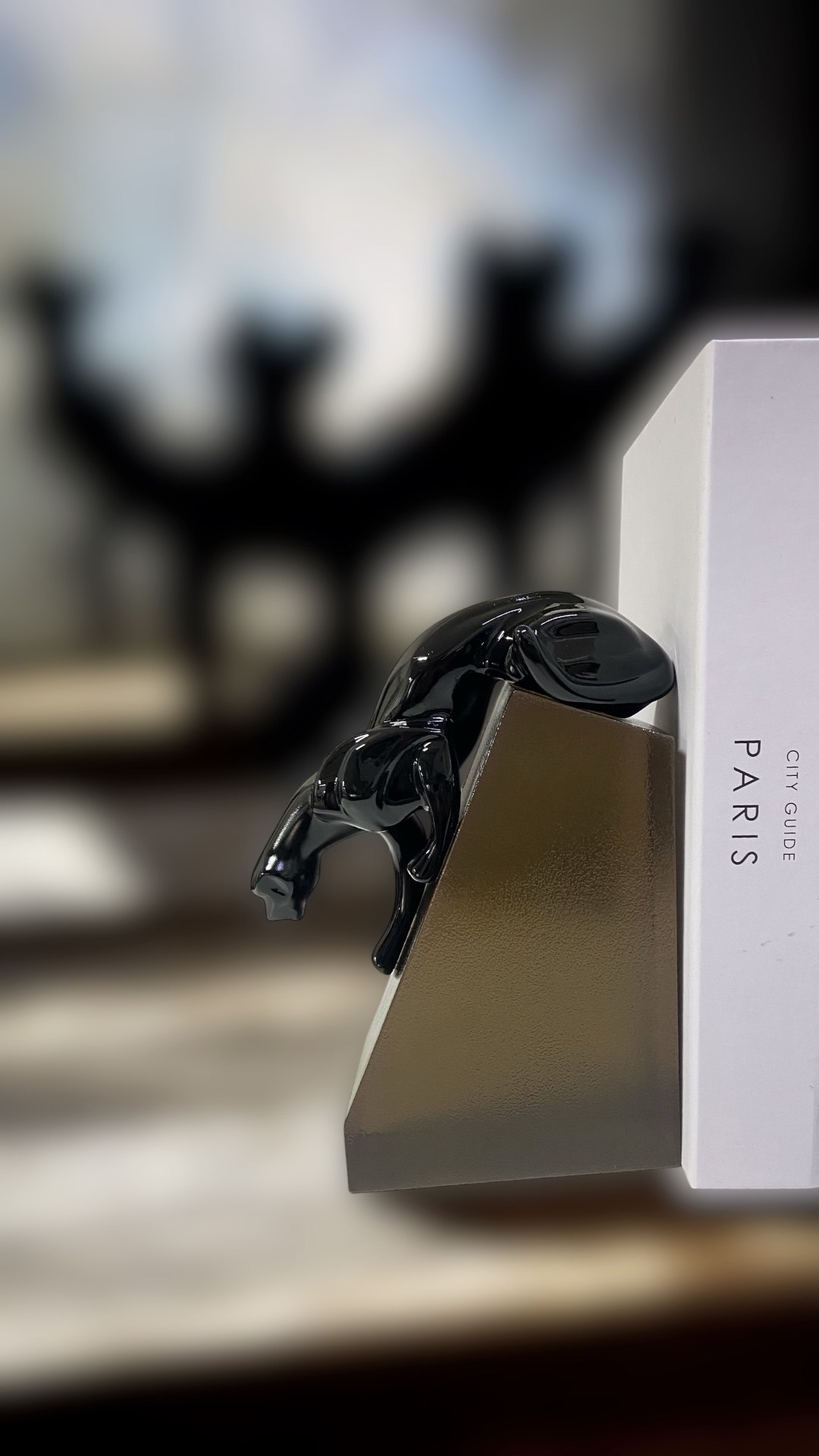 Jaguar Kitap Desteği - Görsel 5